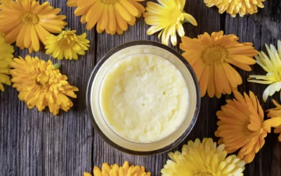 Lait Corps Karité Bio